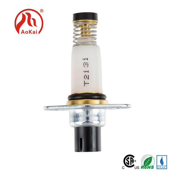Je! Ni aina gani ya hali ya baadaye ya maendeleo ya valves za solenoid?